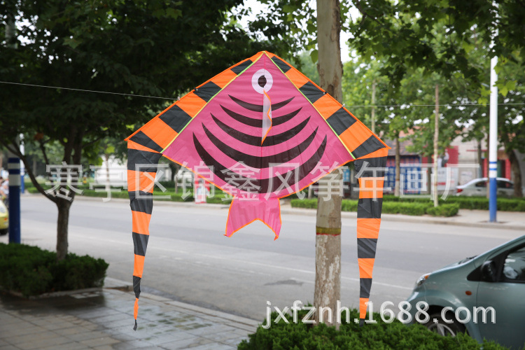 宽130高130cm双尾燕鱼 (2)