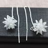 Silver earrings, fashionable accessory, Korean style, wholesale