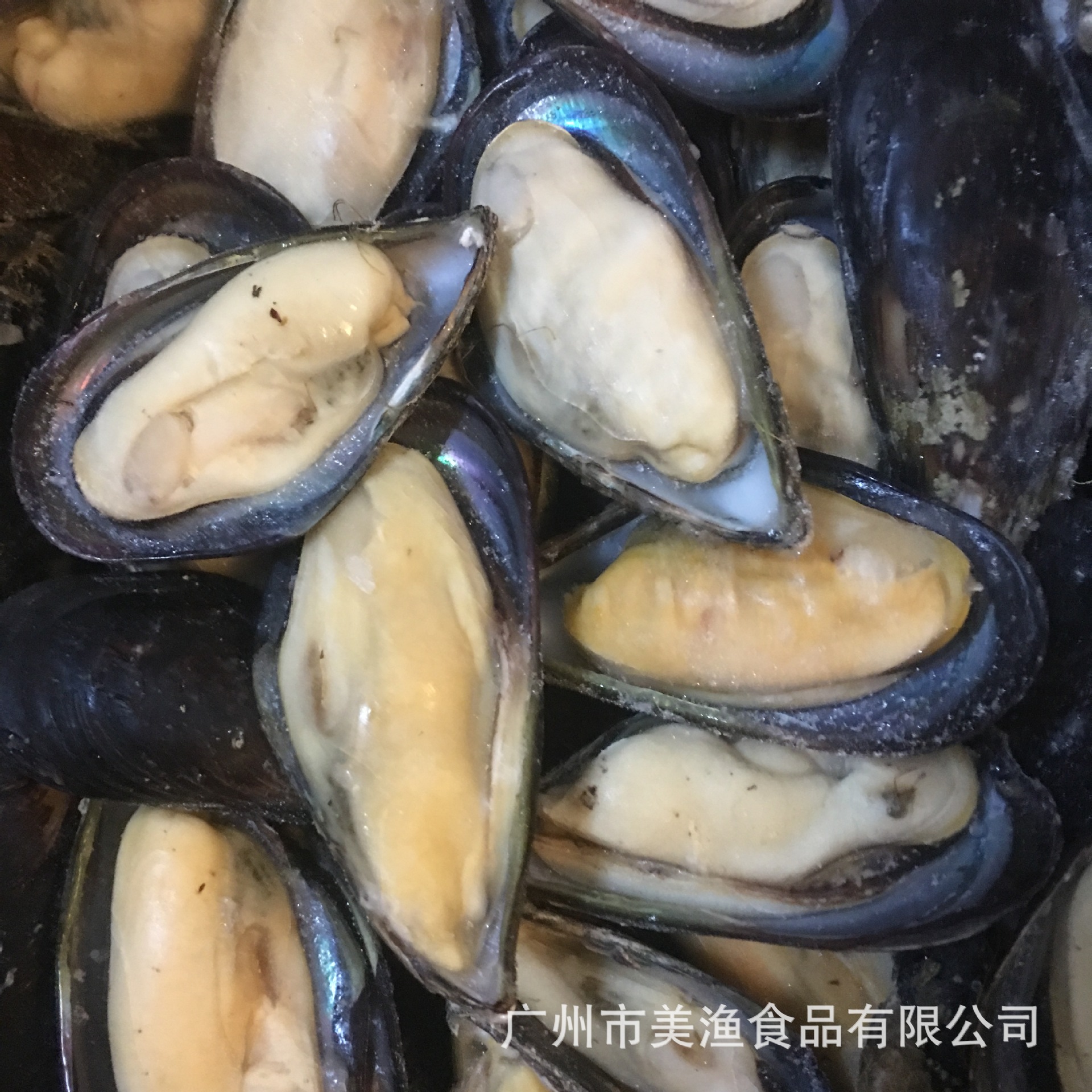 贝类海鲜10种各一张样片吧丨内陆的我只能统称它们蛤蜊|摄影|产品摄影|陈默工作室 - 原创作品 - 站酷 (ZCOOL)