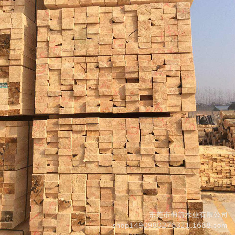 ��ľ ���� ��ݸ��� �������� ��ɼ ������ ���� ��������ʸ�