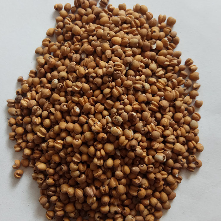 Roasted Red Coix Seed Low Temperature Baked Yi Mi 500g Chinese Grain key features