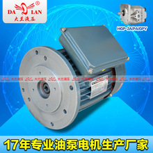 1HP���m��ʽ220V����Һ��늙C HGP-2A�ͱ�늙CDL-802-4/B5-0.75KW