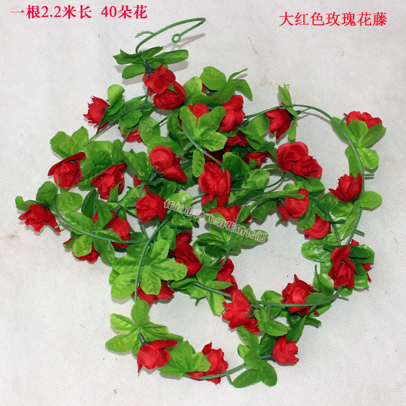 dancengxiaomeiguihuateng13