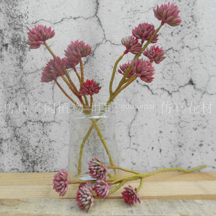 �������ֲ��6�^ʯɏ���ϼtɫ�߷¸ɼٻ��҃ȼҾ��b�Ʒ�[��