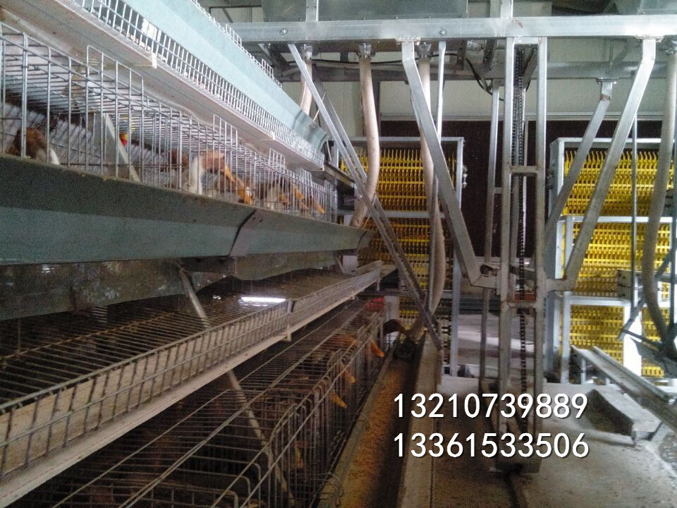 蛋鸭笼养自动化  蛋鸭笼价格	蛋鸭笼批发  蛋鸭笼子价格