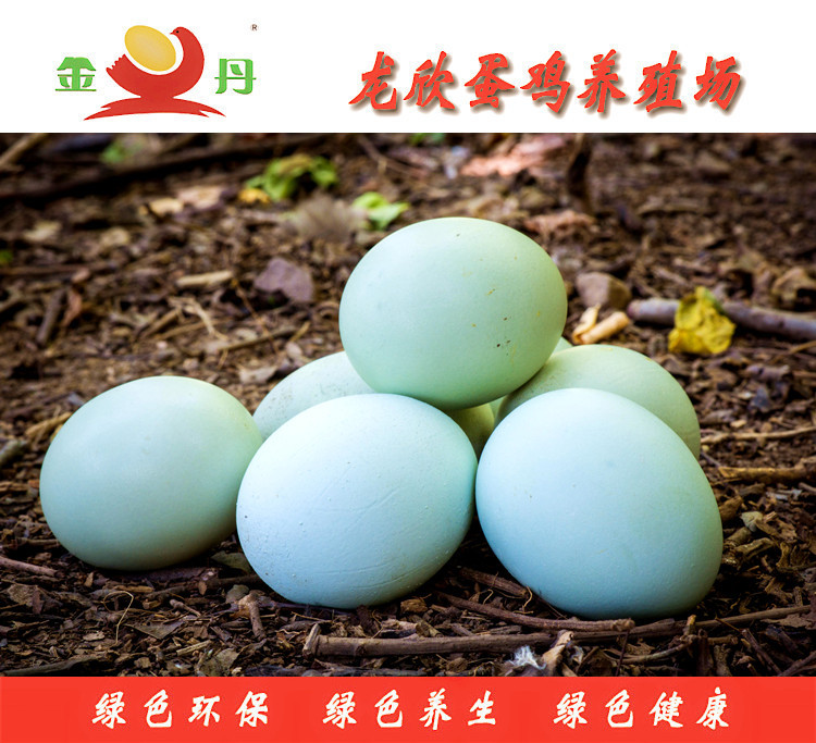 太行山農家自養綠殼雞蛋烏雞蛋寶寶輔食360枚/箱批