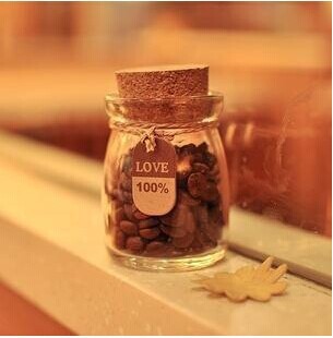 zakka杂货 100ML木塞布丁许愿精灵瓶微景观瓶 布丁收纳瓶子批发