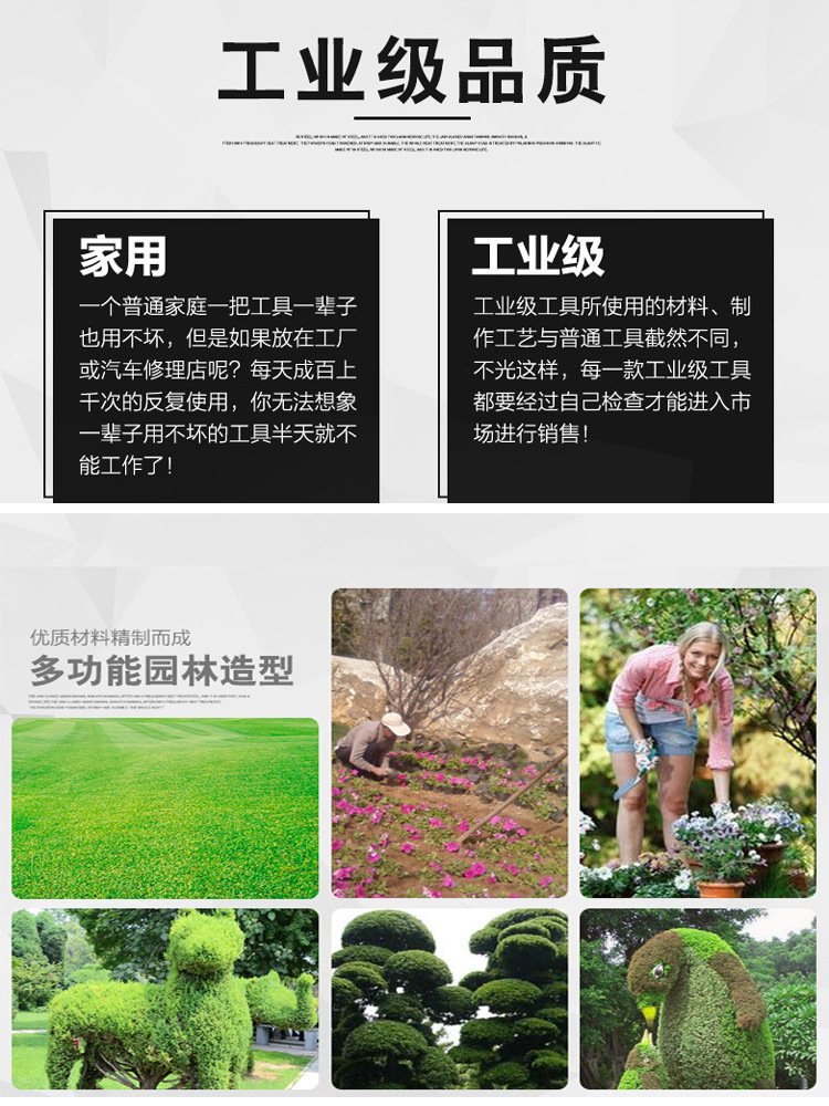 4085529634_288799623