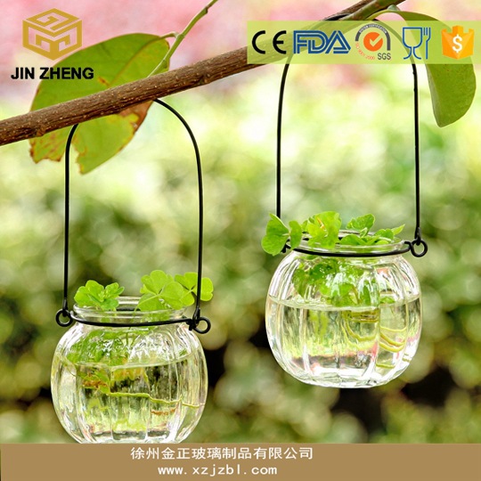 现货 创意悬挂透明玻璃花瓶南瓜小吊瓶简约水培花器