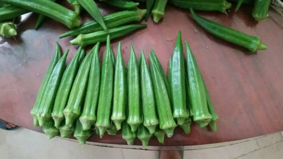 mmexport1434455745390