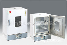 泰斯特 GX125B 热空气烘干箱 干热箱 远红外干燥箱