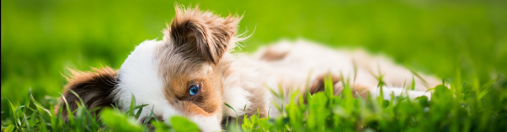 QQ图片20170326224138