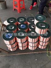 CCA CCAM�~���X�A�㾀�~���X���~���X�V�Ͻ� ��ӆ���� ��؛��