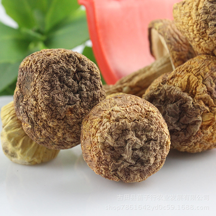 菌子行2020年新货大量批发云南姬松茸干货巴西菇昆明特产食用菌|ru