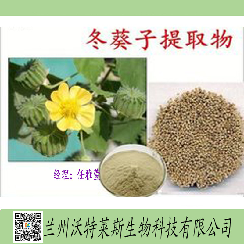 冬葵子提取物冬葵子多肽冬葵子浸膏冬葵子浓缩液冬葵子粉 阿里巴巴