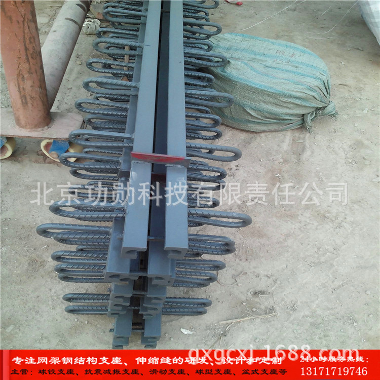 现货供应GQF-CD60型桥梁伸缩缝装置|低价耐用|倍受客户青睐|ms