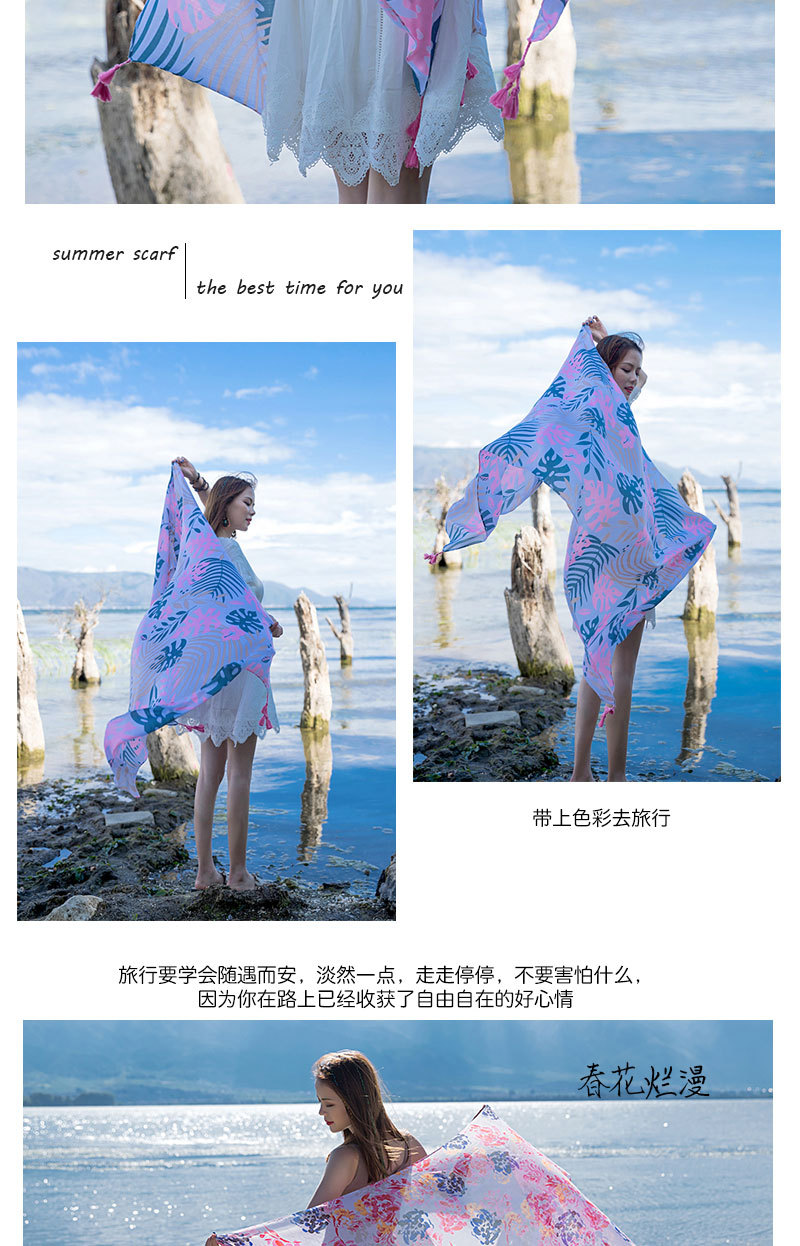 新款模板多款_21