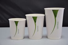 安庆芊芊厂家定做一次性纸杯PLA中空纸杯隔热防烫环保可降解