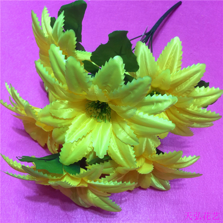 IMG_8489(20170816-153506)