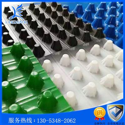 排水板生产厂家 防排水板 屋顶绿化防排水板 蓄排水板 排水板厚度|ms