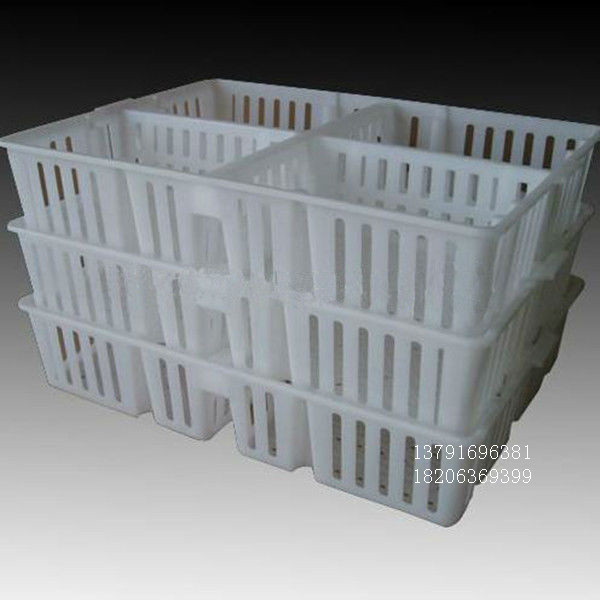 厂家生产小鸡苗周转箱抗老化透气鸡苗运输箱四格塑料鸡苗箱