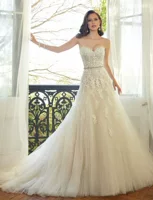 Bride's slim lace tail wedding dress