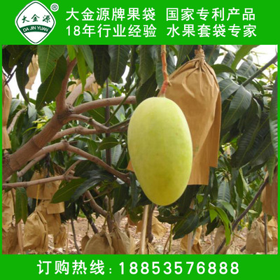 供应品质果袋厂家直销水果套袋 大金源牌芒果纸袋套袋保质保量|ru