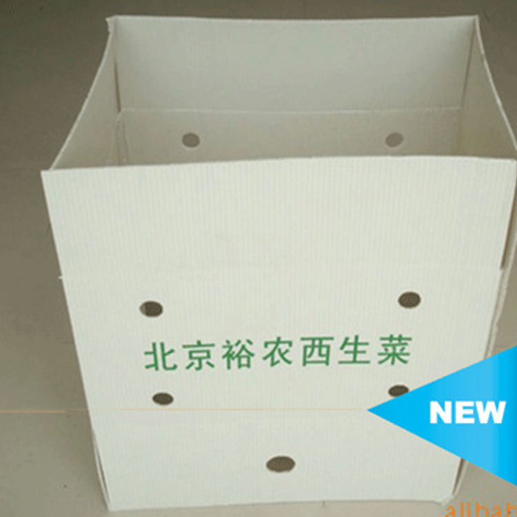 塑料瓦楞板箱中空板水果箱蔬菜瓦楞万通板箱中空板箱PP中空板箱