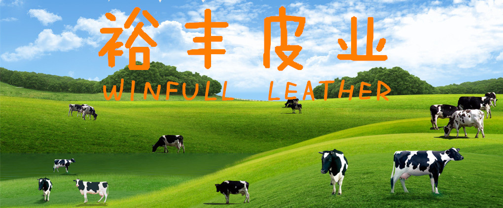 9061653_150206308000_8_副本