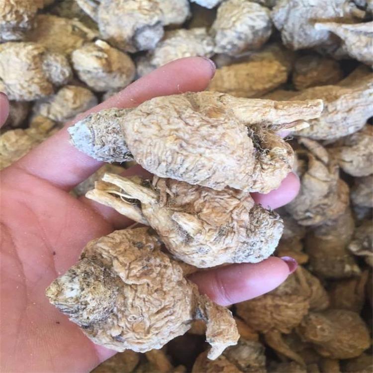 玛卡干燥机