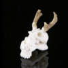 Aquarium, decorations, jewelry, resin, skull, Chinese horoscope