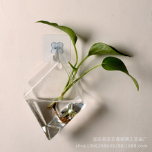 菱形壁挂鱼缸 墙壁玻璃花瓶  悬挂式水培花瓶客厅墙面装饰品