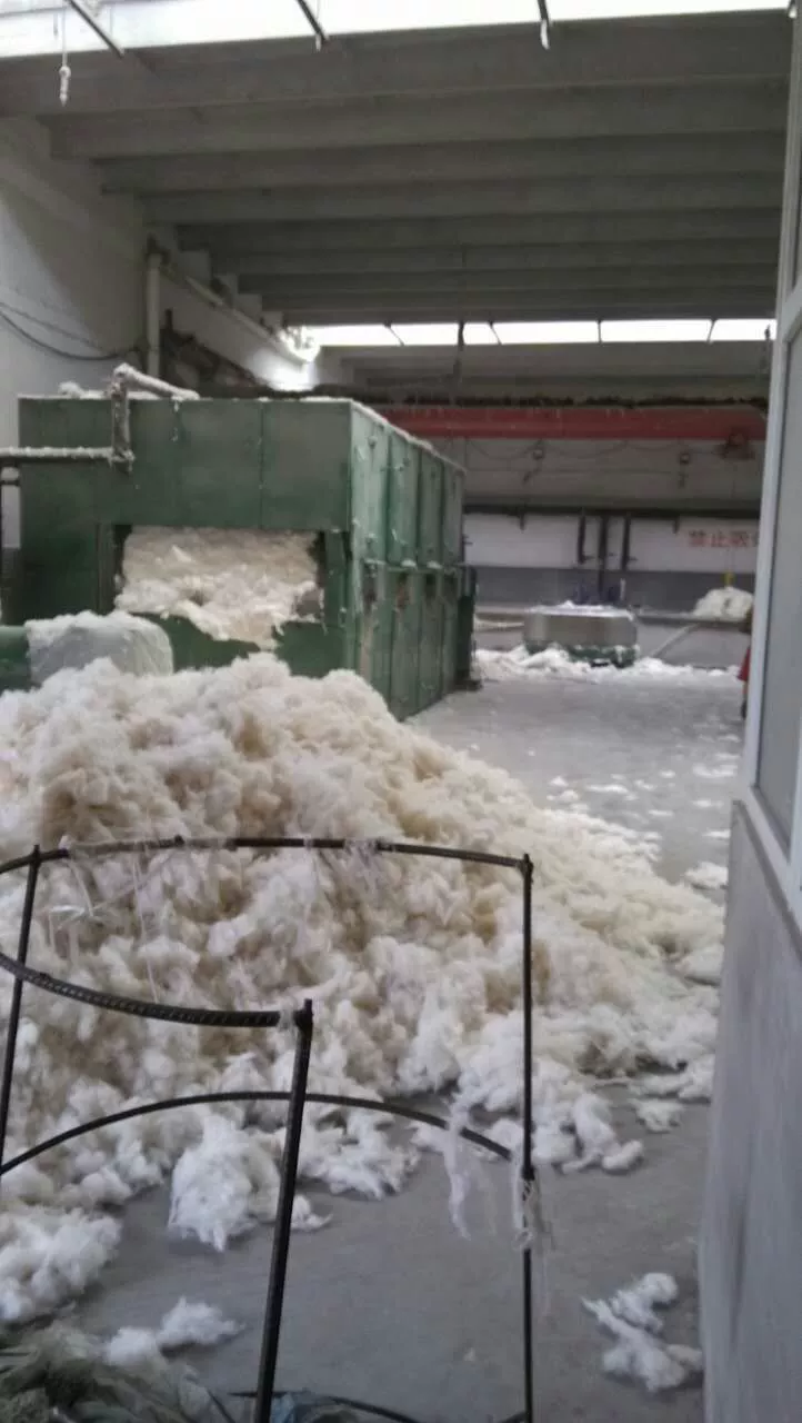 Wool