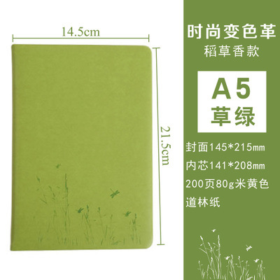 A5 짚 패턴 잔디 녹색