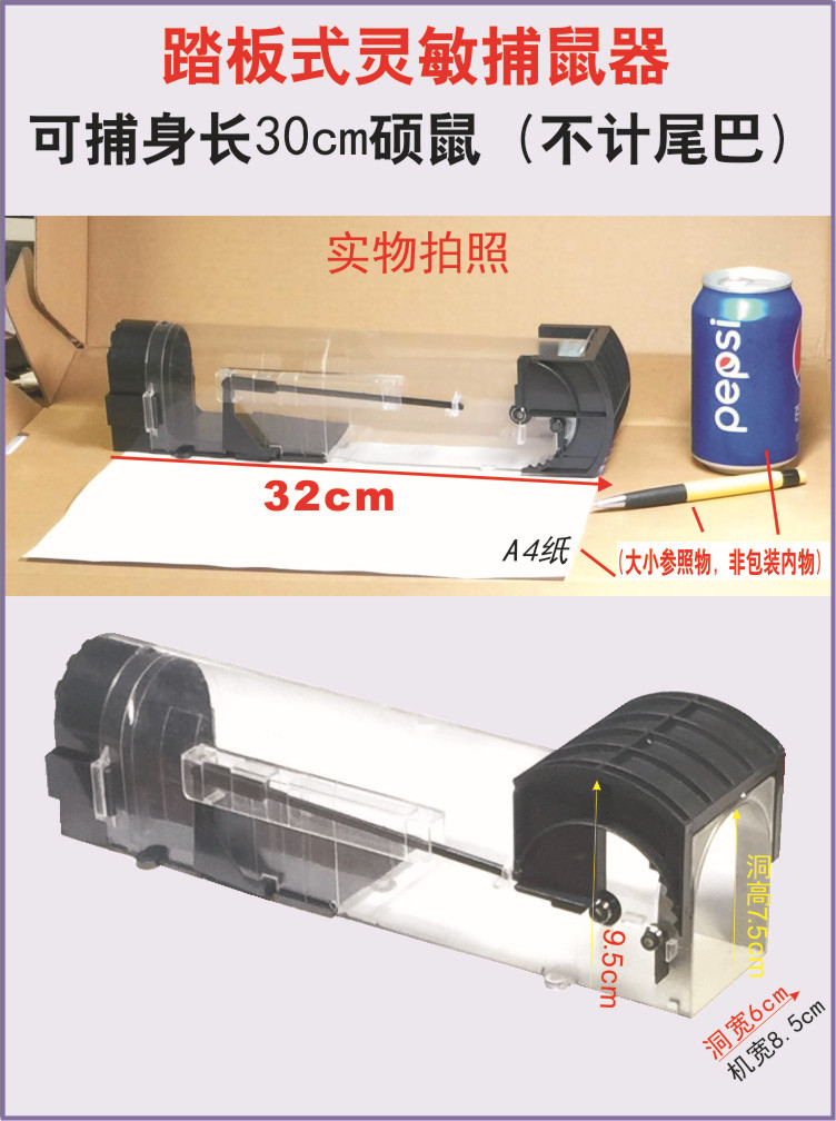 B1-1透明尺寸图