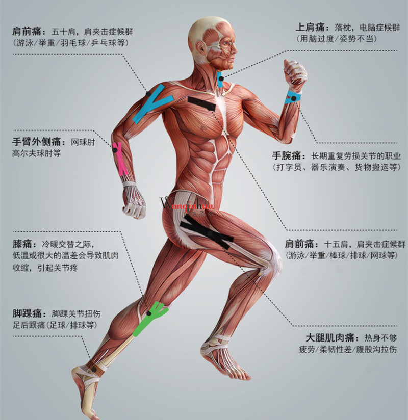 5571533818_717679431