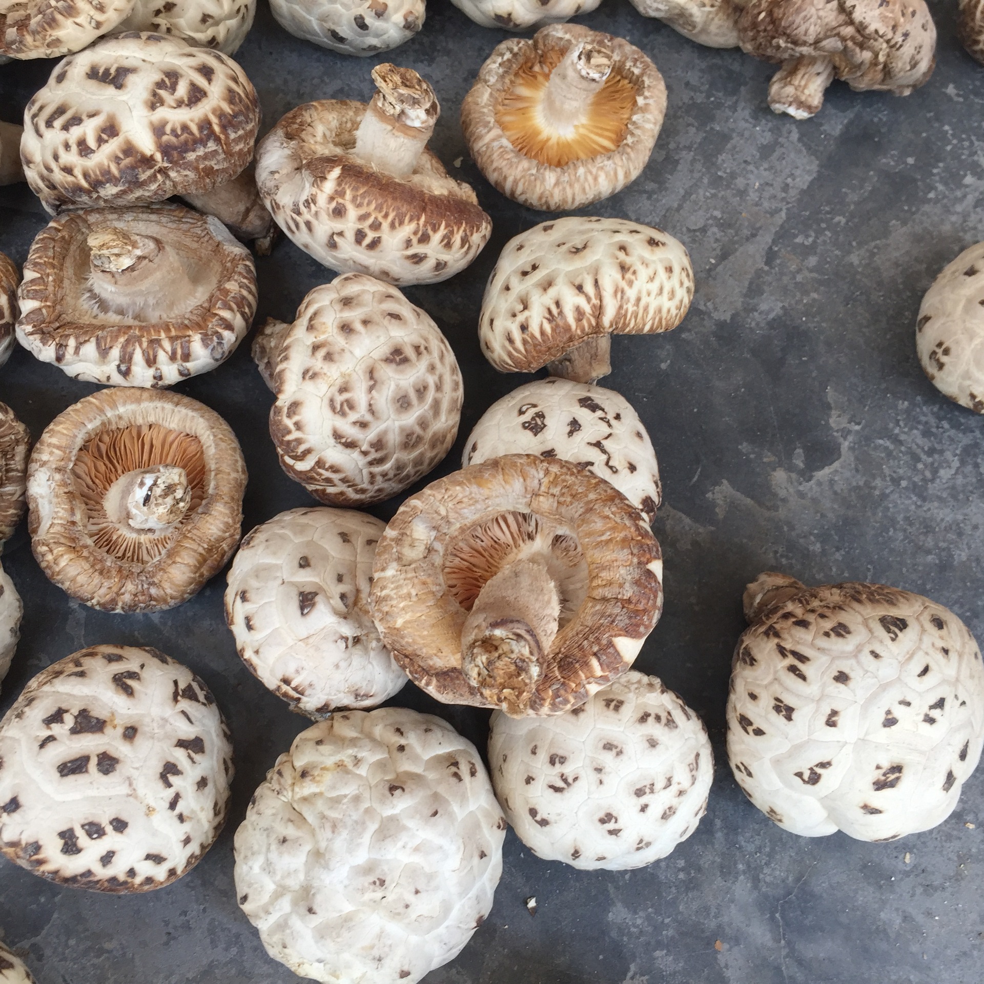 WhiteFlowerMushroomFloralMushroomTianBaiHuaGu天白花菇1000g - Kedai Ubat Min ...