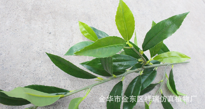 XRB-163新桂花四叉枝立体4