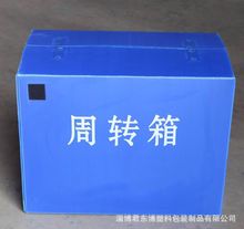 厂家直供pp中空板周转箱 塑料周转箱 彩色 瓦楞箱 可定 制