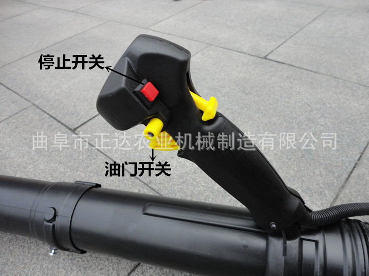 TB2FII9XeLyQeBjy1XaXXcexFXa_!!