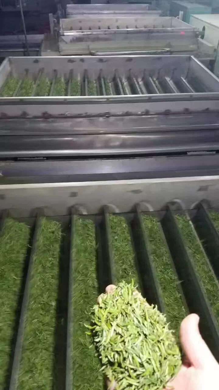 微波茶叶杀青机|低温烘焙设备|微波茶叶烘干机械小型机械