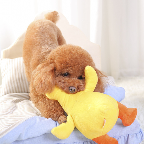 Dog plush toy pet sounding toy Huayuan pet supplies wholesale factory direct sales new pet toys