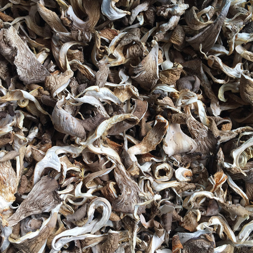 Supply of Yunnan Plateau specialty delicious oyster mushroom strips dried goods bulk dried mushrooms manufacturers wholesale