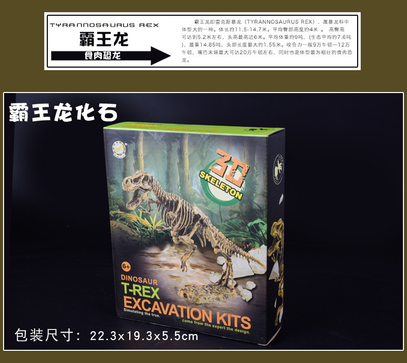 挖掘恐龙详情图12