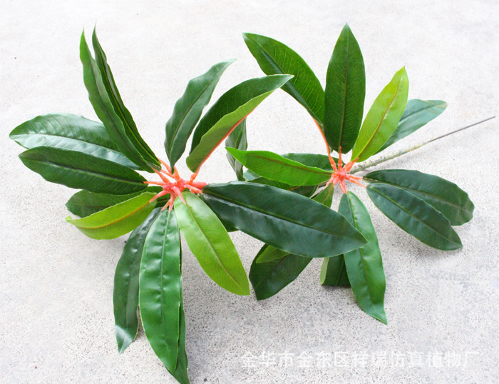 XRB-159单枝胶让木叶28叶