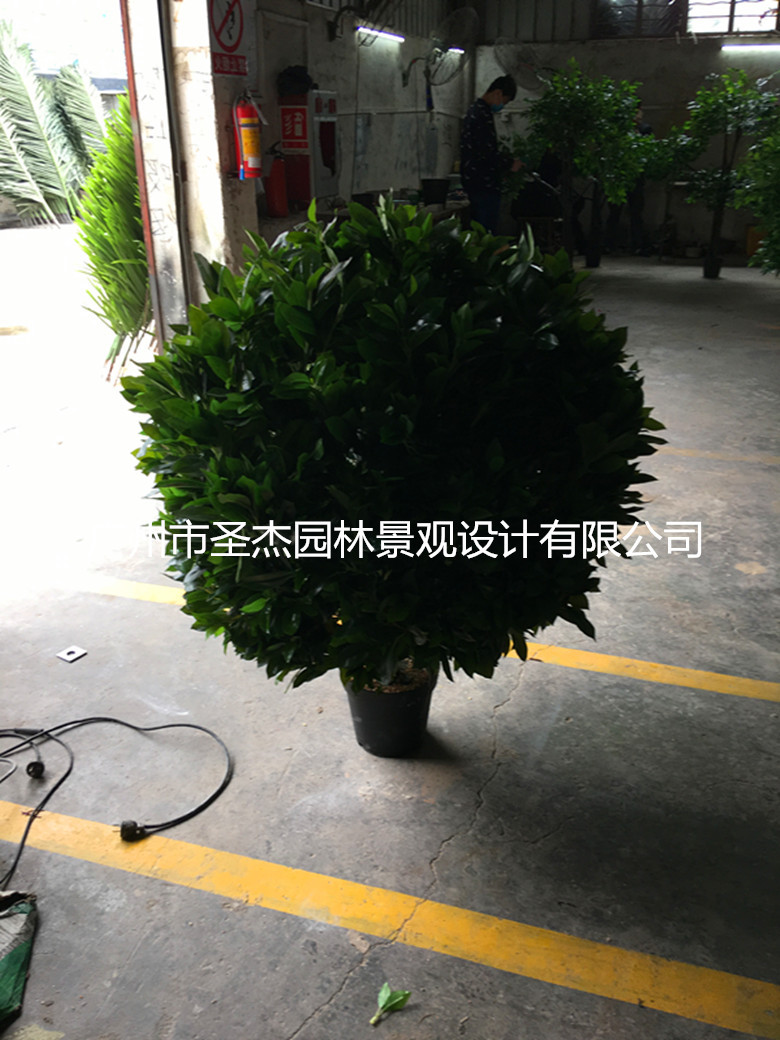 119513456895341938_副本