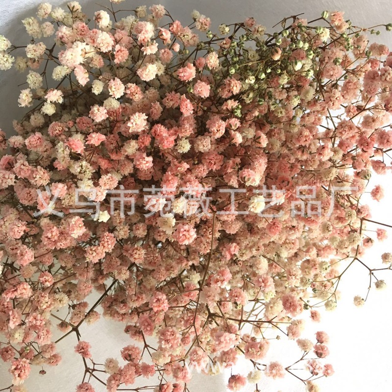 微信图片_20170921212938