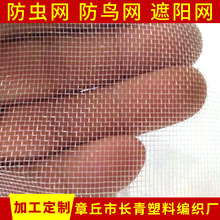 批发加厚60目防鸟网 农用大棚果园防虫网 防晒遮光隔热网防鸟网