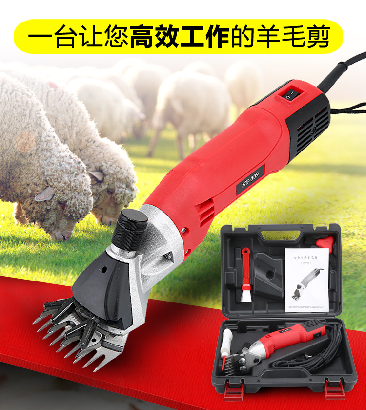 TB2kMgxgmJjpuFjy0FdXXXmoFXa_!!