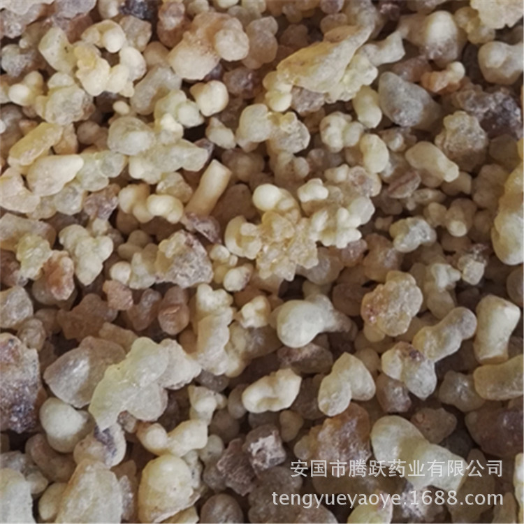 Frankincense Resin Ru Xiang 乳香 Dried Boswellia Carterii Resin Beads for TCM Decoction and External Use quality and texture